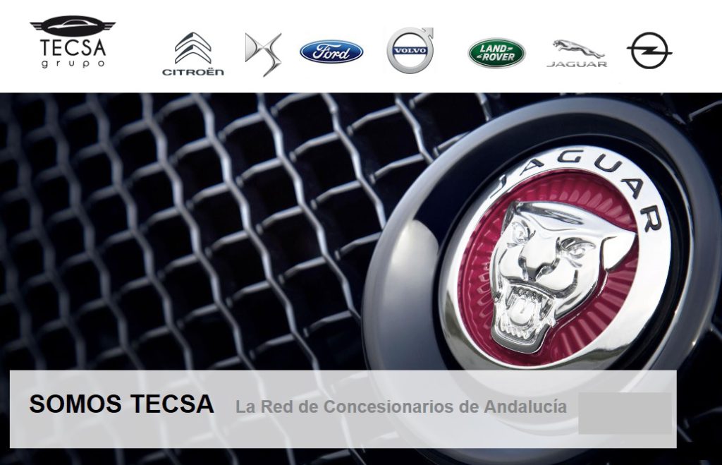 Grupo TECSA gestión energética